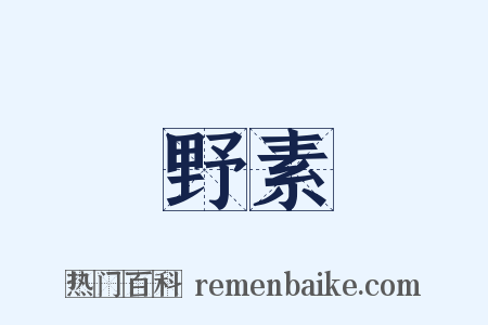 野素是什么意思的图片